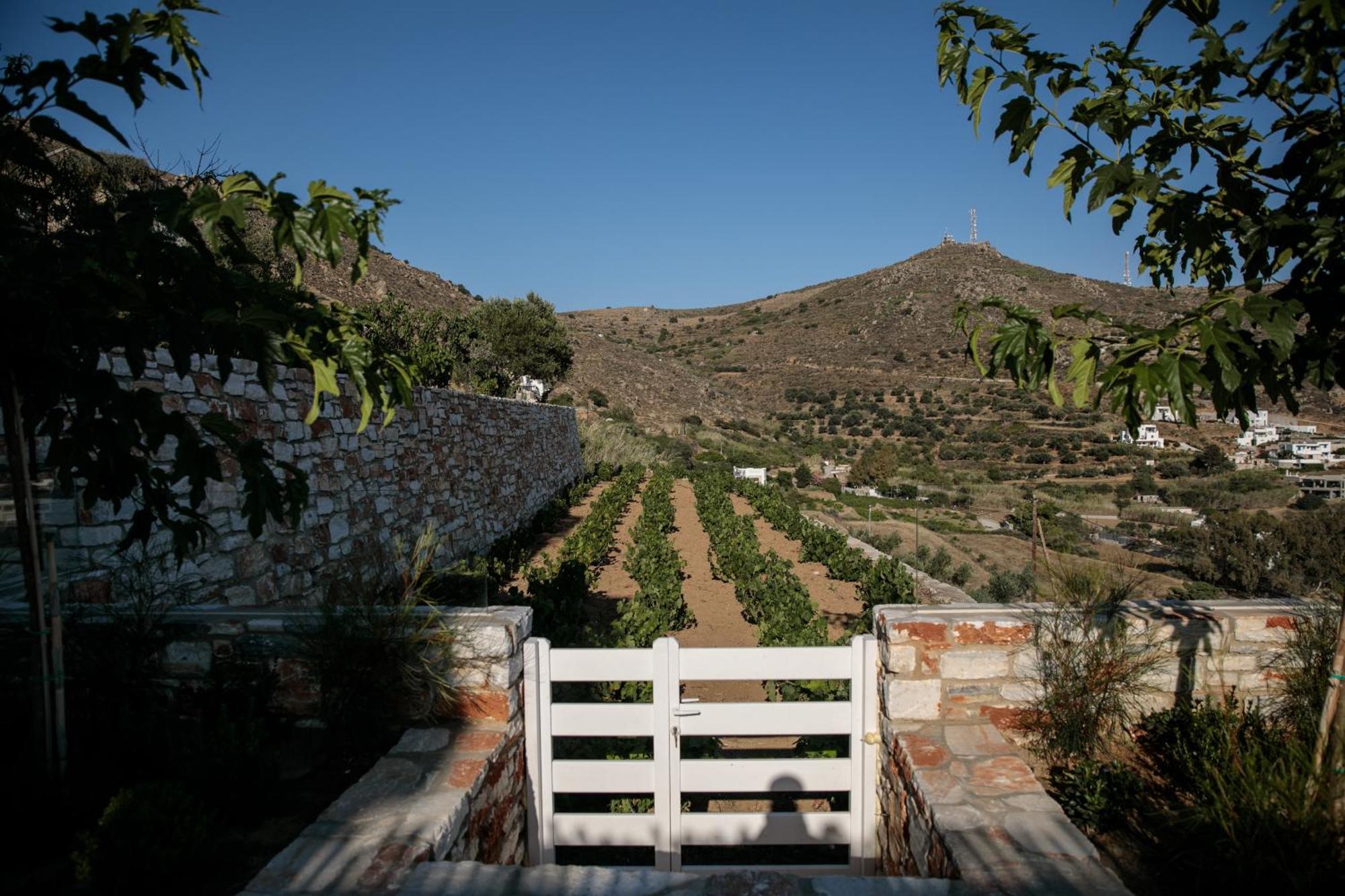 Wow Panoramic View Deluxe Villas Angídia Kültér fotó
